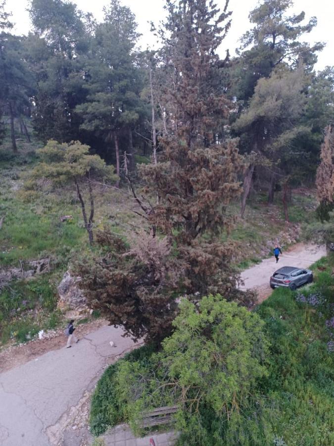 Ένα Μέρος Για Ήσυχες Διακοπές Appartement Ioannina Buitenkant foto